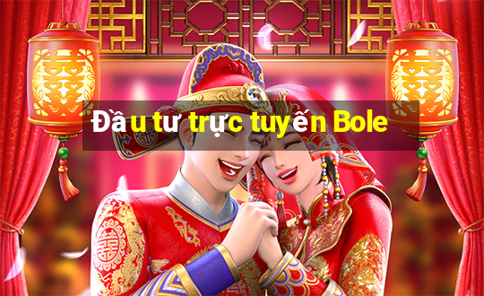 Đầu tư trực tuyến Bole