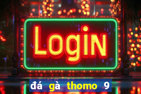 đá gà thomo 9 tháng 12