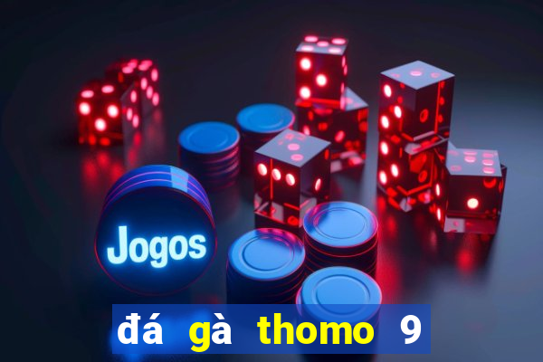 đá gà thomo 9 tháng 12