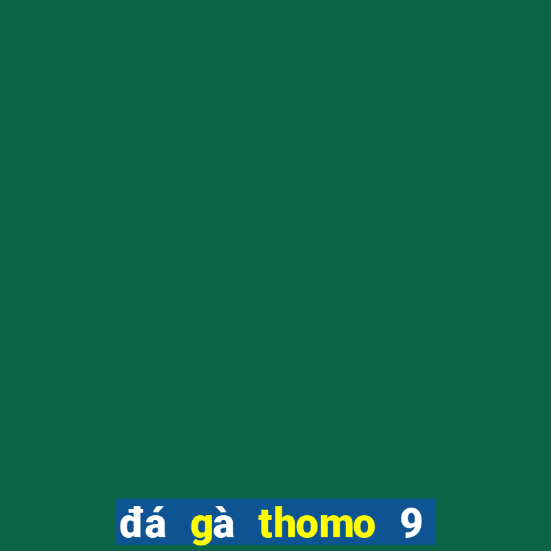 đá gà thomo 9 tháng 12