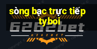 sòng bạc trực tiếp tyboi