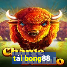 tải bong88