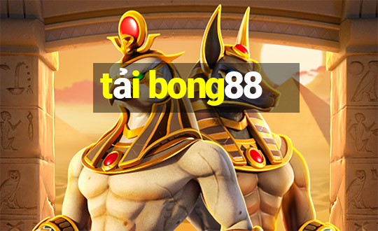 tải bong88