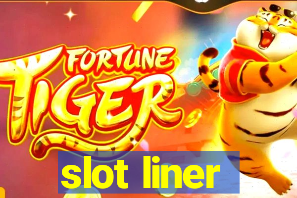 slot liner