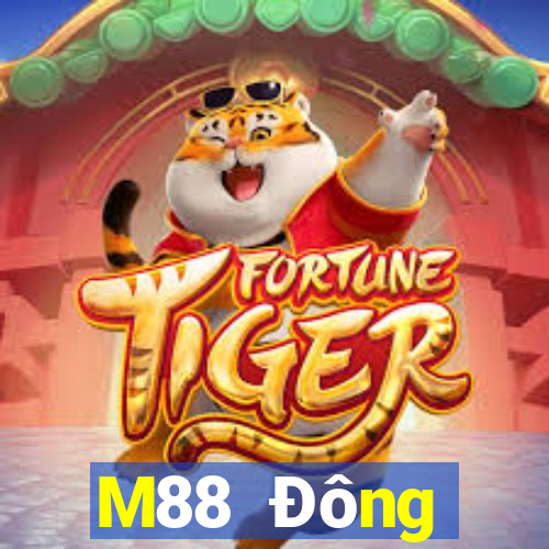 M88 Đông Thượng Hải Xiaoyou Chơi game bài