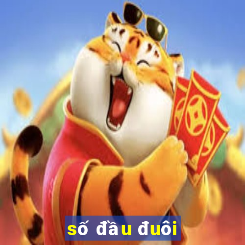 số đầu đuôi