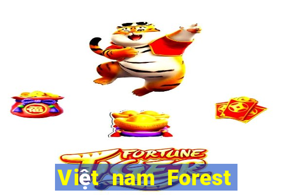 Việt nam Forest Ball Hall