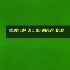 cảm ơn xổ số miền bắc