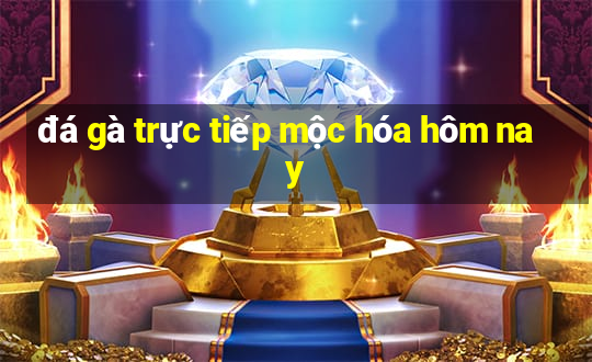 đá gà trực tiếp mộc hóa hôm nay