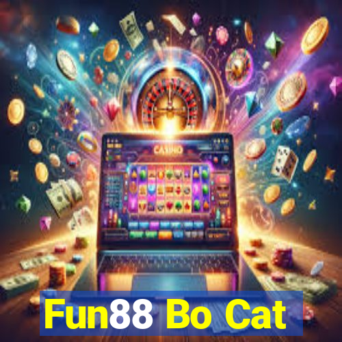 Fun88 Bo Cat