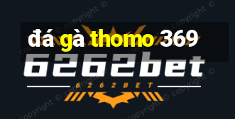 đá gà thomo 369