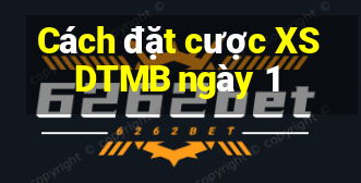 Cách đặt cược XSDTMB ngày 1