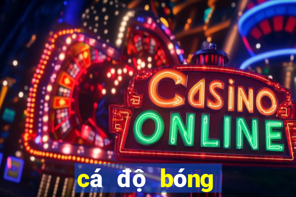 cá độ bóng đá online cmd368