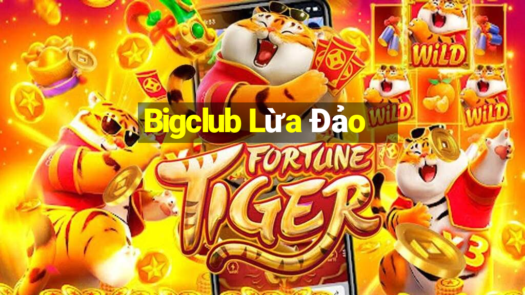 Bigclub Lừa Đảo