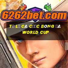 tỷ lệ cá cược bóng đá world cup