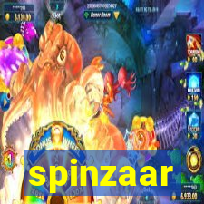 spinzaar