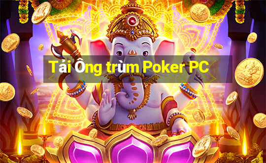 Tải Ông trùm Poker PC