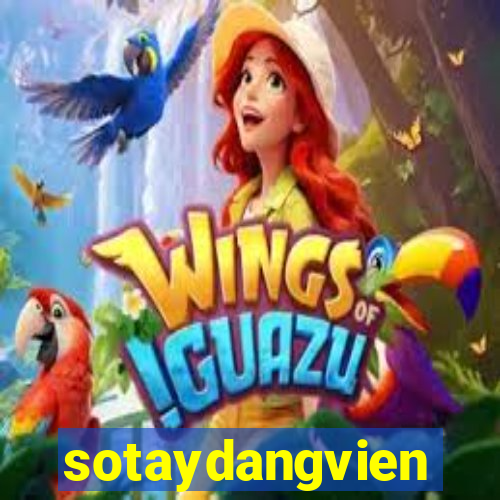 sotaydangvien