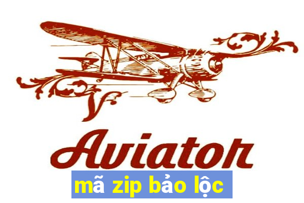 mã zip bảo lộc