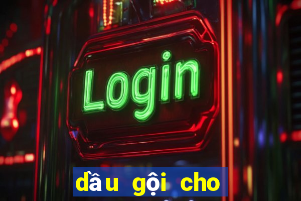 dầu gội cho tóc bết dầu