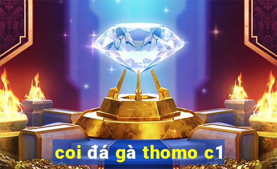 coi đá gà thomo c1