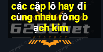 các cặp lô hay đi cùng nhau rồng bạch kim