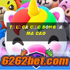 tỷ lệ cá cược bóng đá ma cao