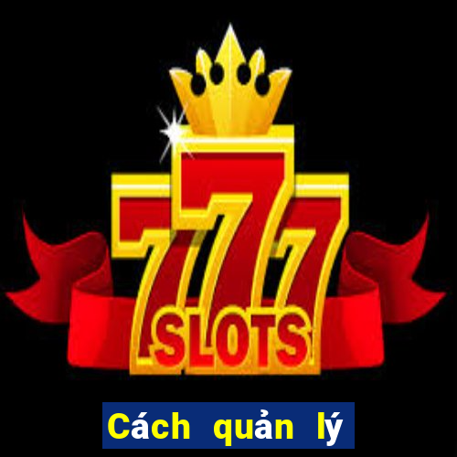 Cách quản lý vốn khi chơi Baccarat