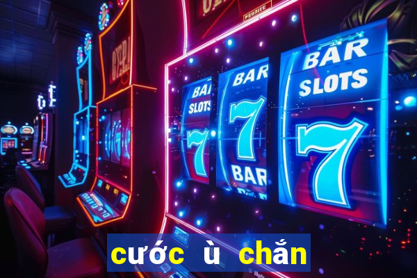 cước ù chắn hoa rơi cửa phật