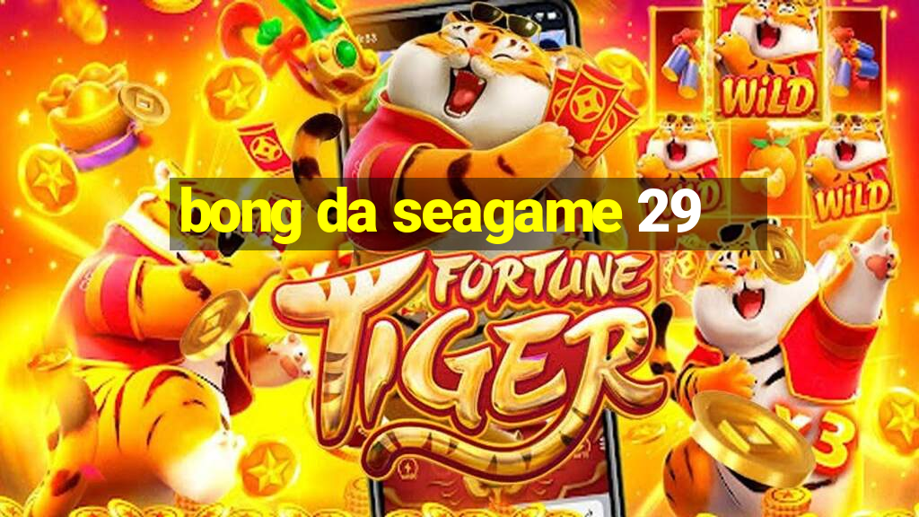 bong da seagame 29