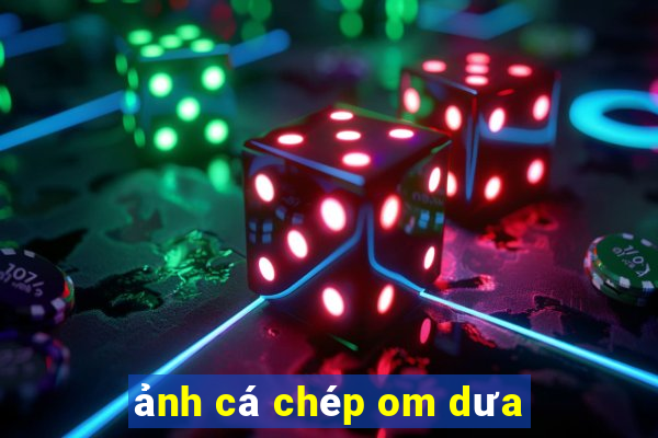 ảnh cá chép om dưa