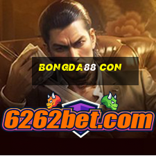 bongda88 con