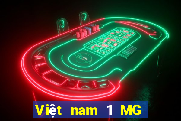 Việt nam 1 MG điện tử