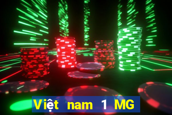 Việt nam 1 MG điện tử