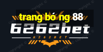 trang bóng 88