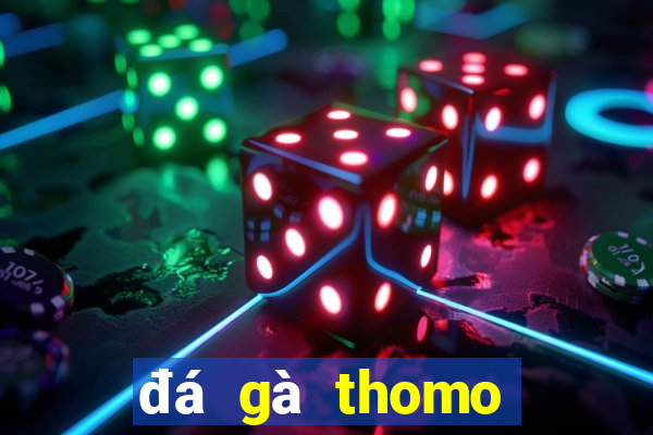 đá gà thomo trận 19 hôm nay