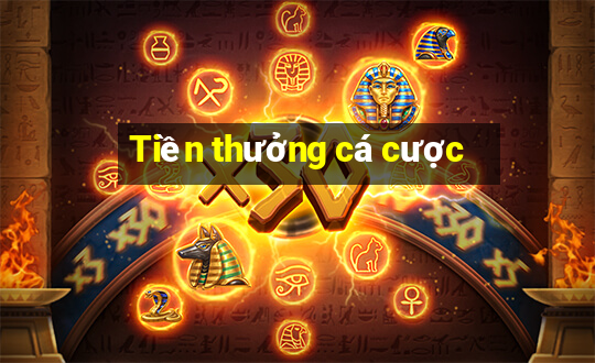 Tiền thưởng cá cược