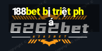 188bet bị triệt phá