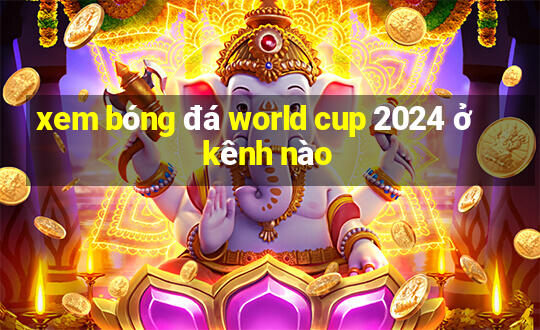 xem bóng đá world cup 2024 ở kênh nào