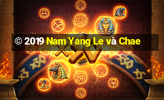 © 2019 Nam Yang Le và Chae