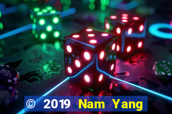 © 2019 Nam Yang Le và Chae