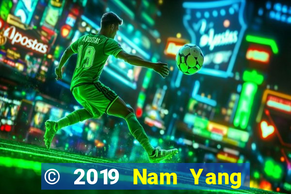 © 2019 Nam Yang Le và Chae