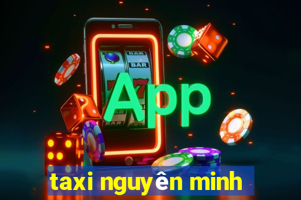 taxi nguyên minh