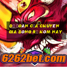 Dự đoán của chuyên gia bóng rổ hôm nay