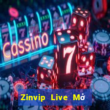 Zinvip Live Mở Trò Chơi Ô Tô