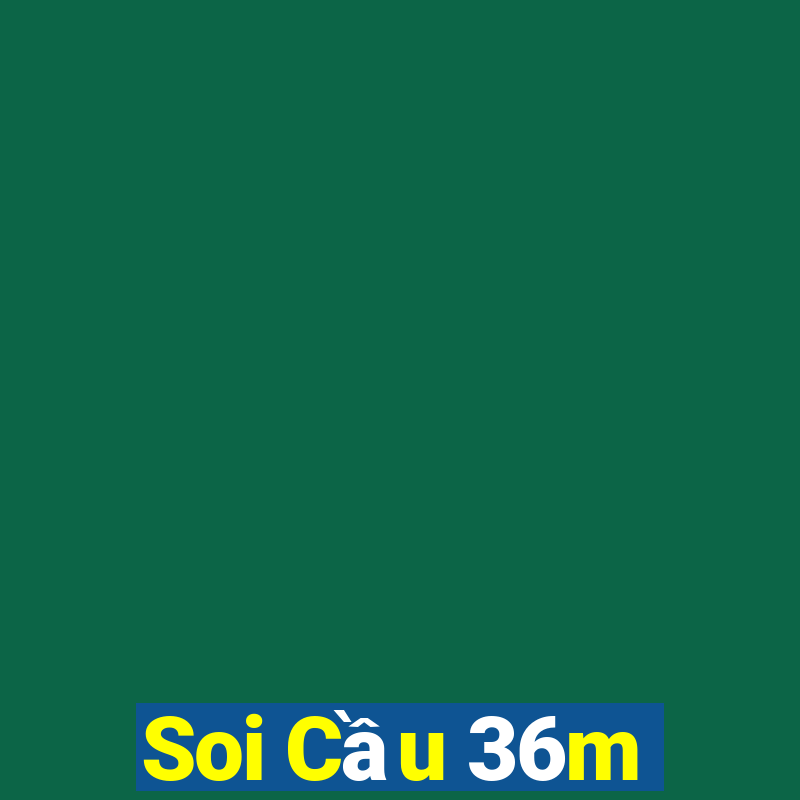 Soi Cầu 36m