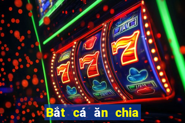 Bắt cá ăn chia 188 thật