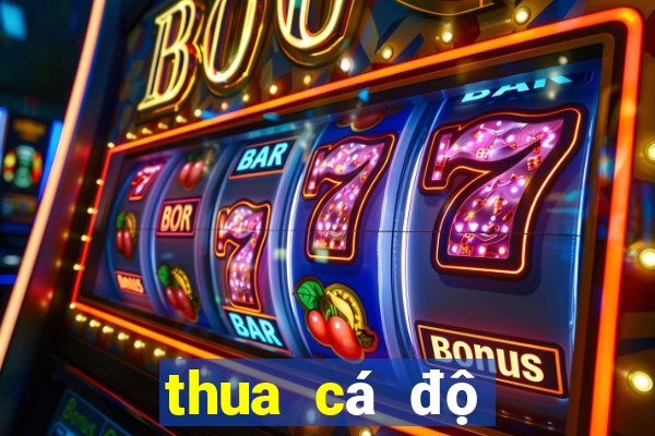 thua cá độ bóng đá