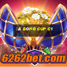 đá bóng cup c1