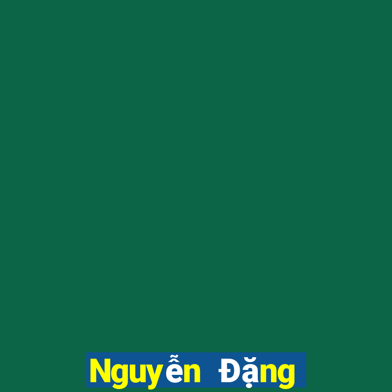 Nguyễn Đặng Chấn Hải